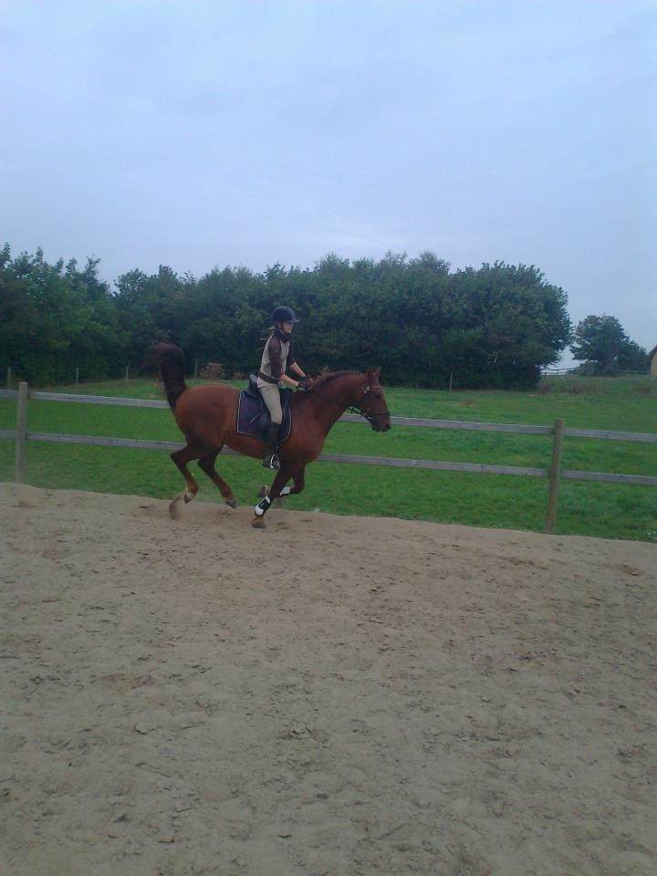 Frederiksborg Trymer - Gammelt billede fra dengang han var fræk ;D billede 4