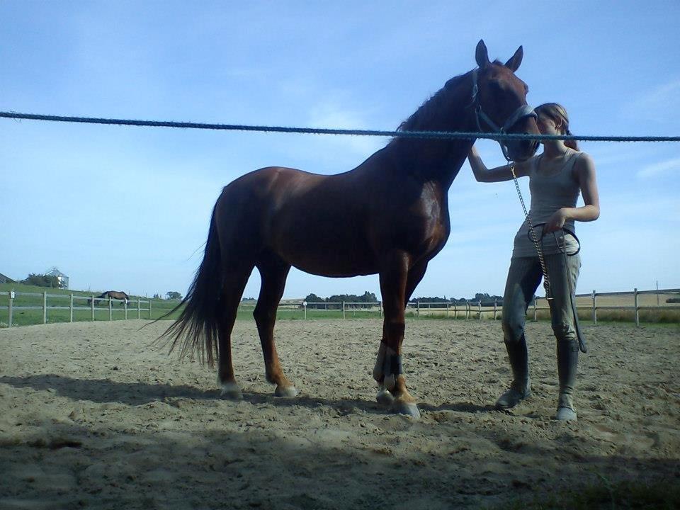 Frederiksborg Trymer billede 7