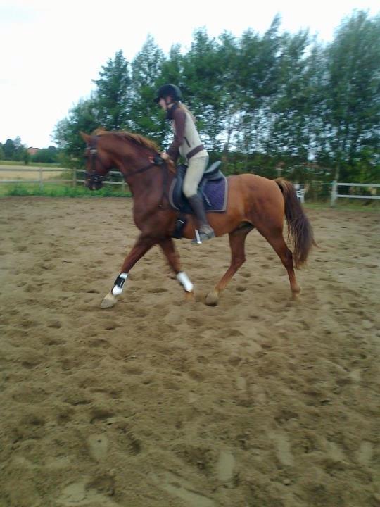 Frederiksborg Trymer - Ved godt jeg læner mig for meget frem.. billede 12