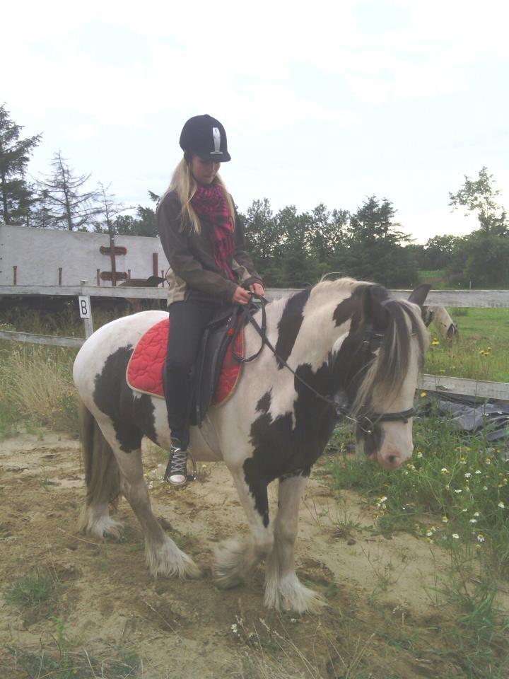 Irish Cob Ulla - Første gang jeg er ude og ride på hende efter hun er kommet hjem fra Esbjerg! :*
 billede 2