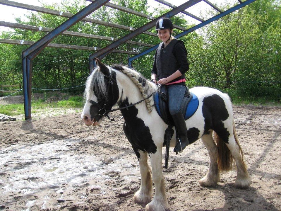 Irish Cob Ulla - Første gang jeg er nede og prøve skønheden i Esbjerg under tilridningen!
 billede 7