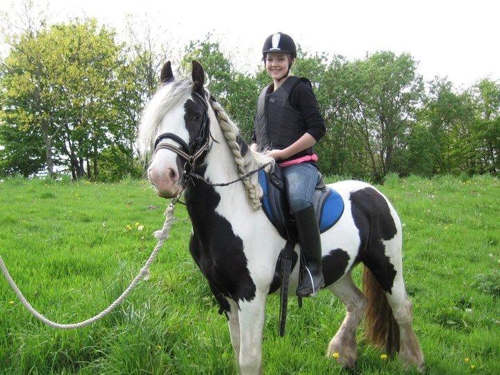 Irish Cob Ulla - Første gang er i naturen på hende!<3 billede 9