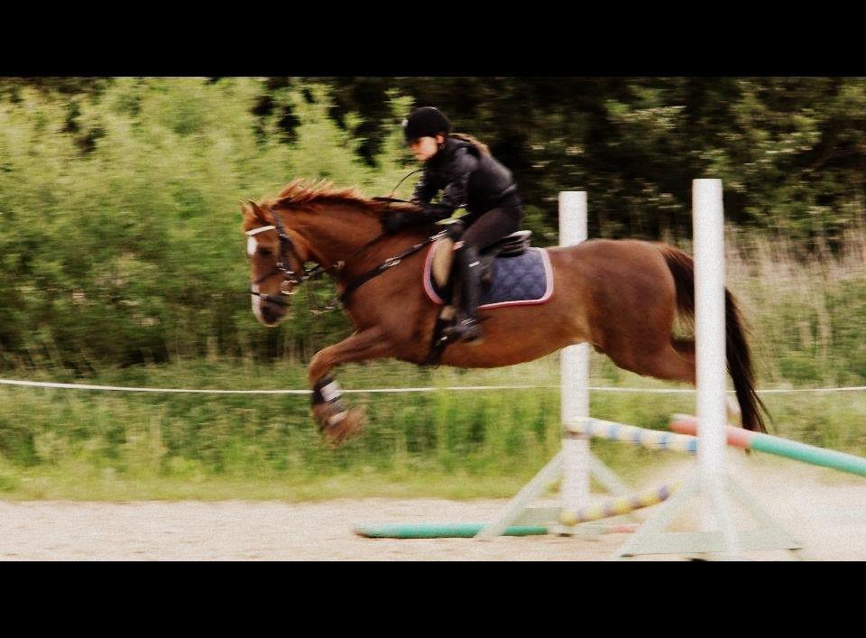 DSP ROSENKILDES MARQUIS - „Når noget er perfekt, er det ikke fordi det er fejlfrit, men fordi jeg ikke ønsker det anderledes.“ billede 5