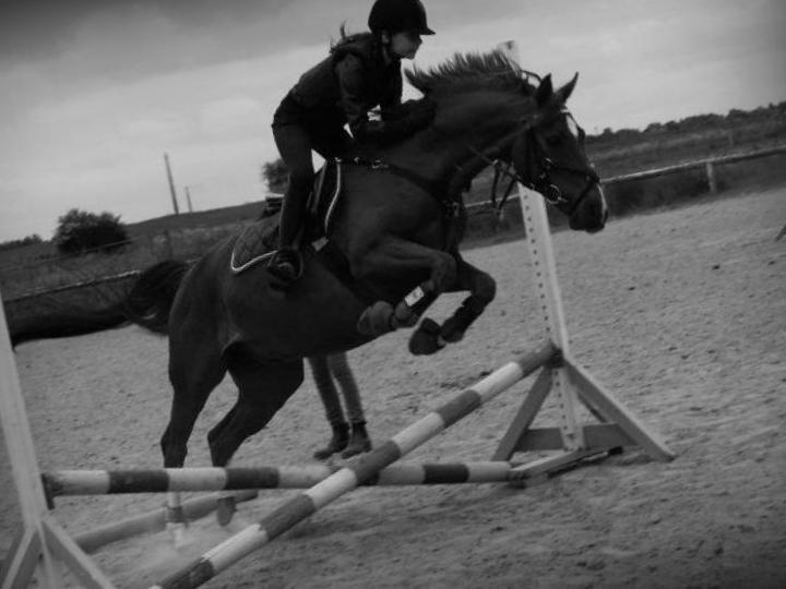 DSP ROSENKILDES MARQUIS - „Gode venner er som stjerner. Man kan ikke altid se dem, men man ved de altid er der.“ billede 8