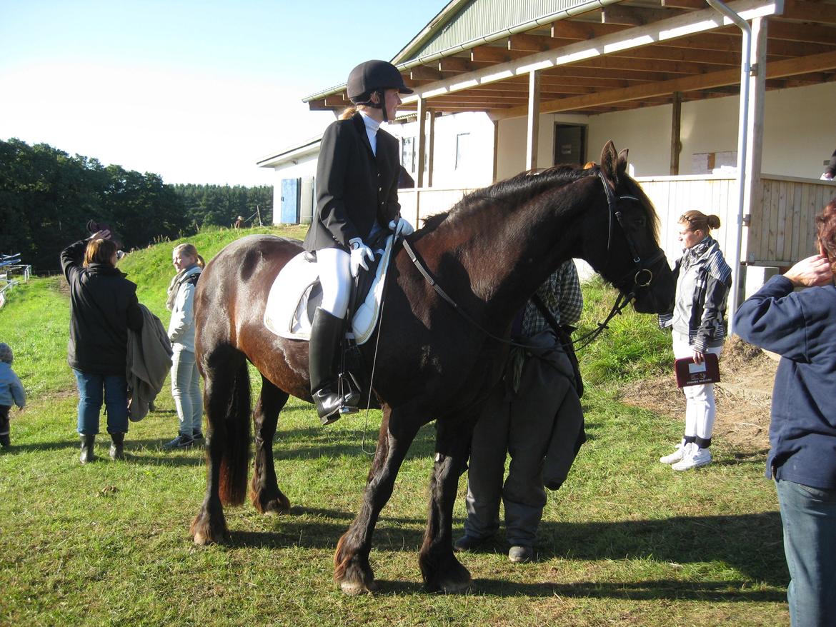 Frieser AKKE FAN DE SLACHTEDYK (Red og passede) - Efter et veloverstået ridt på en skøn Akke-lakke d. 23. sept. 2012 :) billede 19