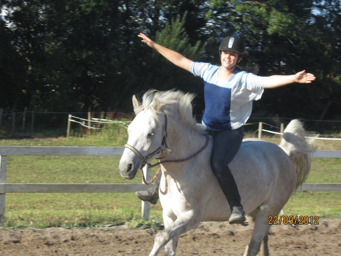 Anden særlig race silver (Min bedste ven) <3 -  Han tar mig tættere på himmelen :) billede 18