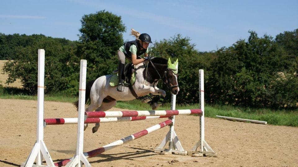 Anden særlig race MAGNUM billede 2