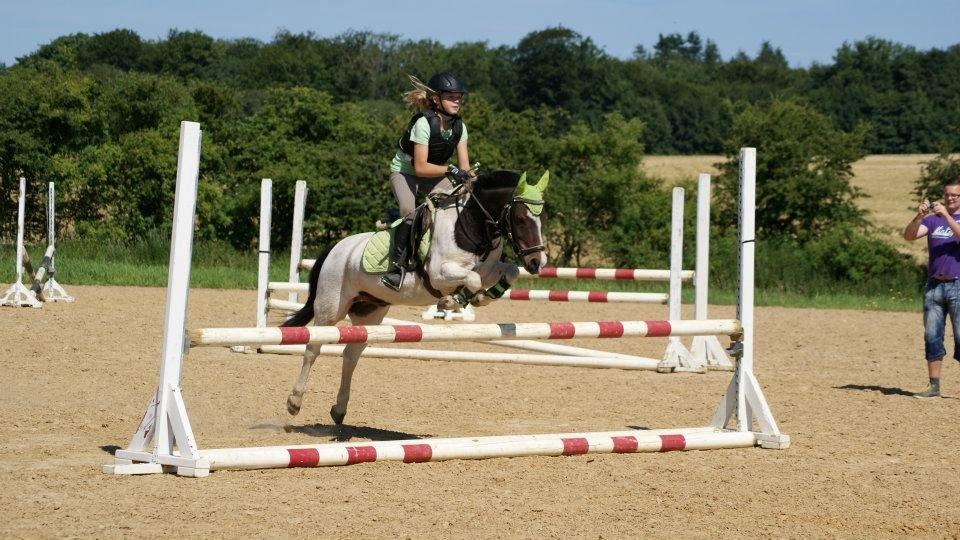 Anden særlig race MAGNUM billede 9