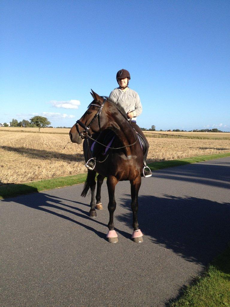 Anden særlig race Waneesha billede 1