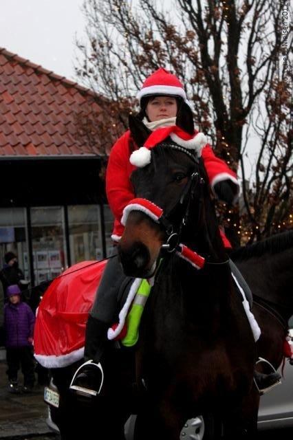 Anden særlig race Waneesha billede 4