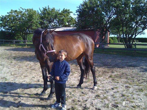 Anden særlig race Waneesha billede 5