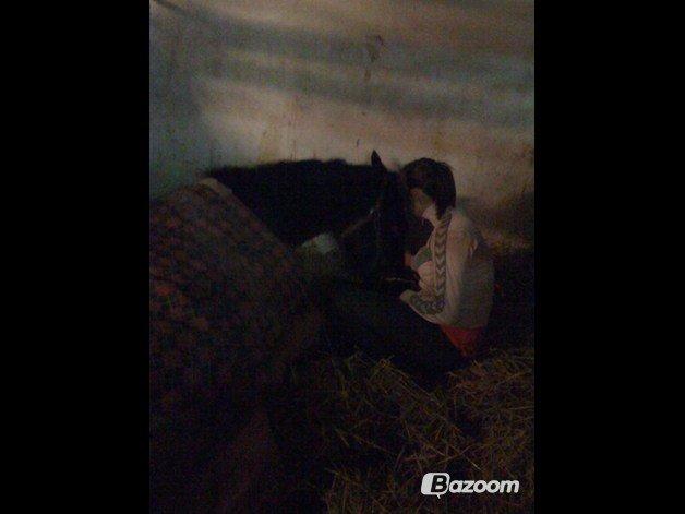 Anden særlig race Waneesha billede 8