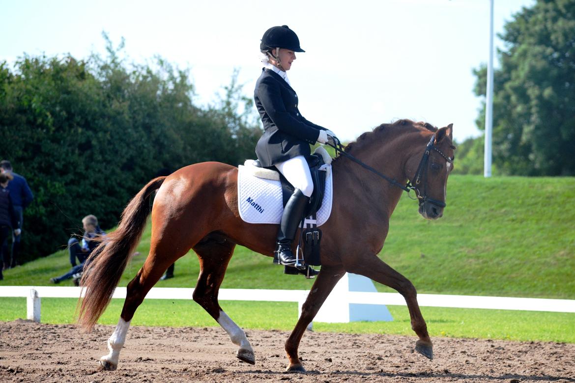 DSP Matthi - Landsstævne på hjemmebane, med min lille søde pony! :-)    Foto: Mathilde Koefoed - Tak billede 8