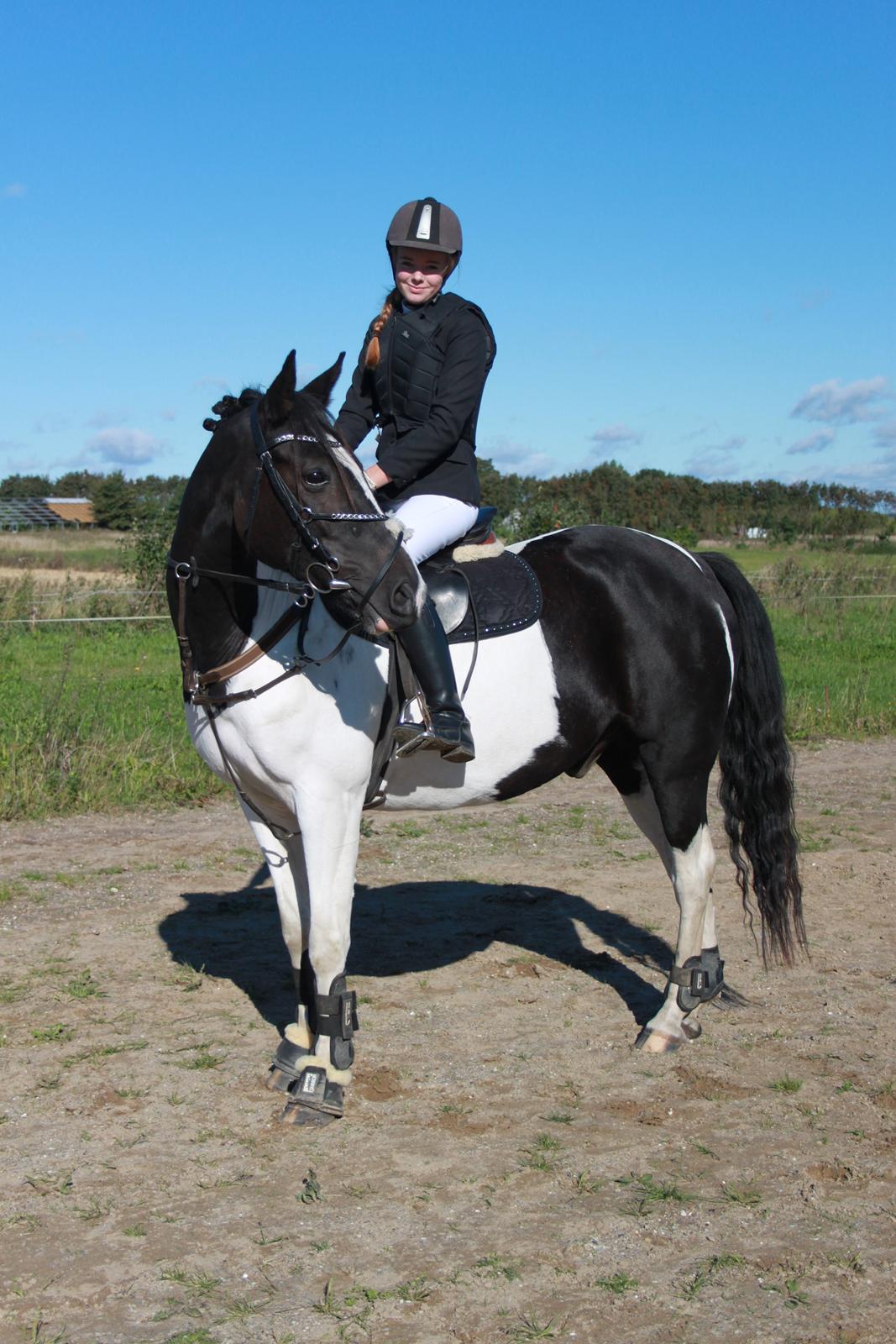 Pinto Star<3 - Stævne!<3 2012 billede 2