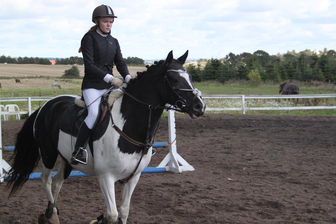 Pinto Star<3 - <3 billede 3