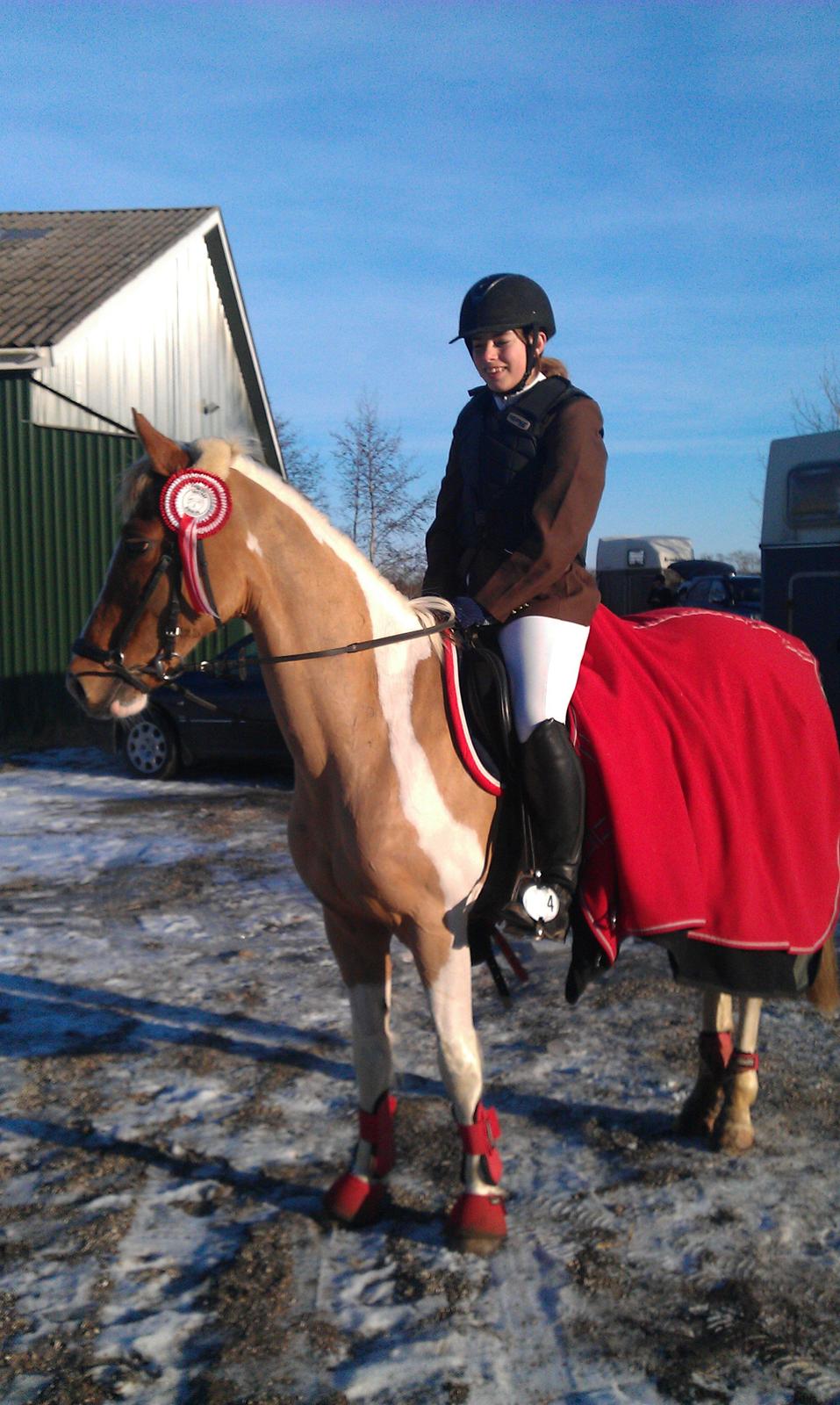 Pinto Nerolientje billede 1