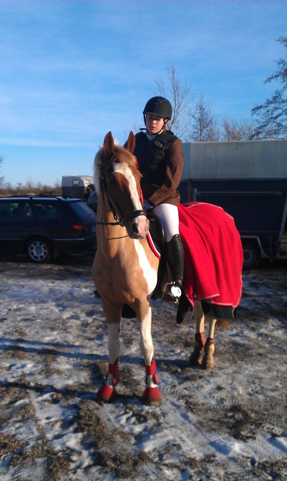 Pinto Nerolientje billede 20