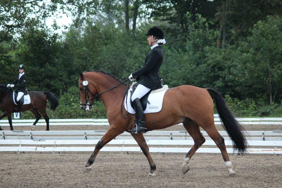 New Forest Fuglekildes macoy - Vores aller sidste tur.. Landsstævne i Frederikshavn <3
Foto: Maria Mortensen - Tak billede 10