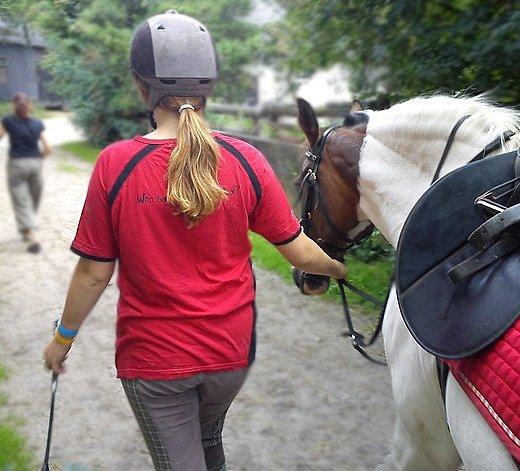 Pinto Rosenlyst's Queen og heart's(tidl. låne) - på vej op til at springe :) billede 11