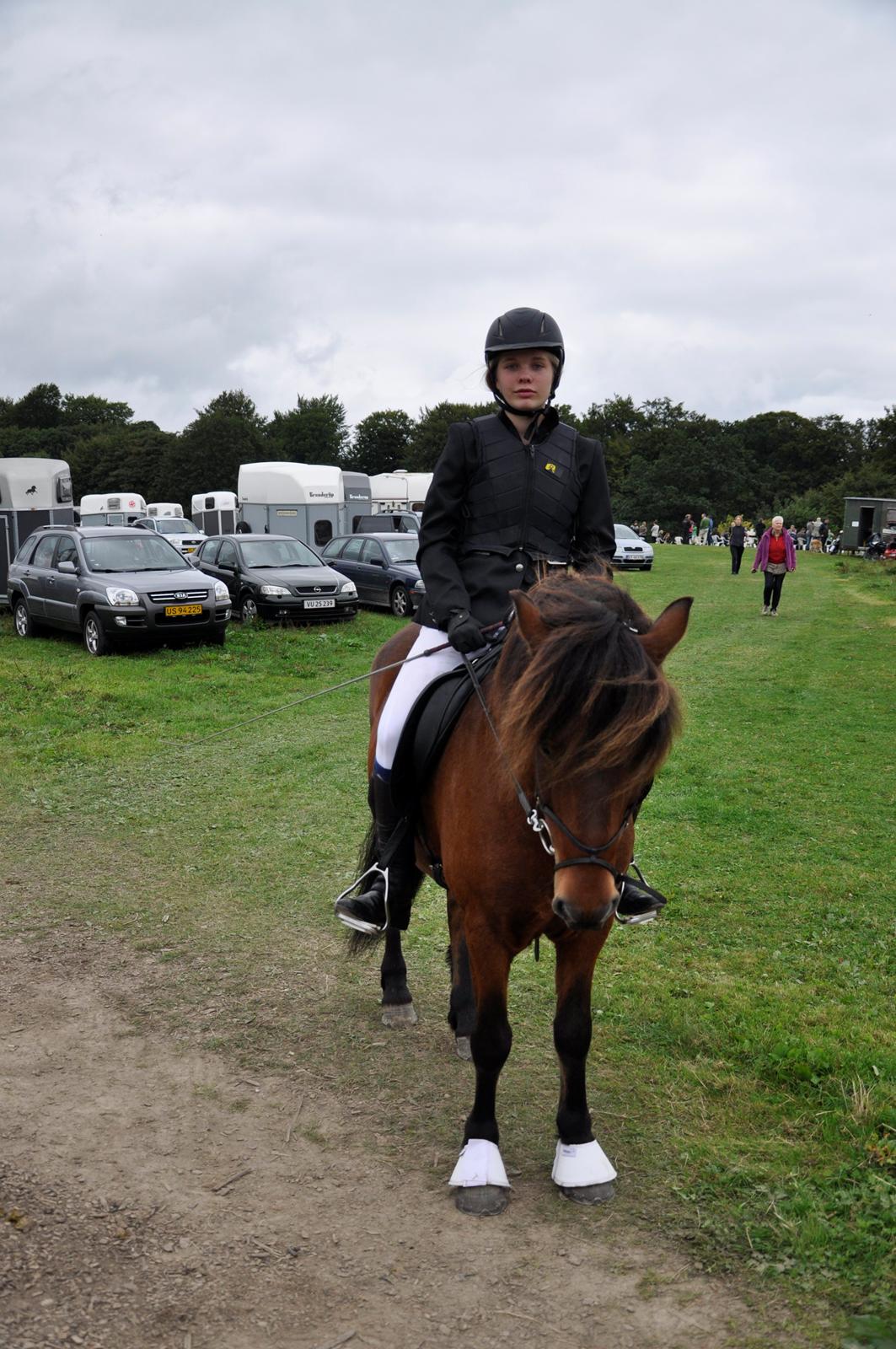 Islænder Óðinn fra lille Nørregård - The way to heaven is on horseback billede 9
