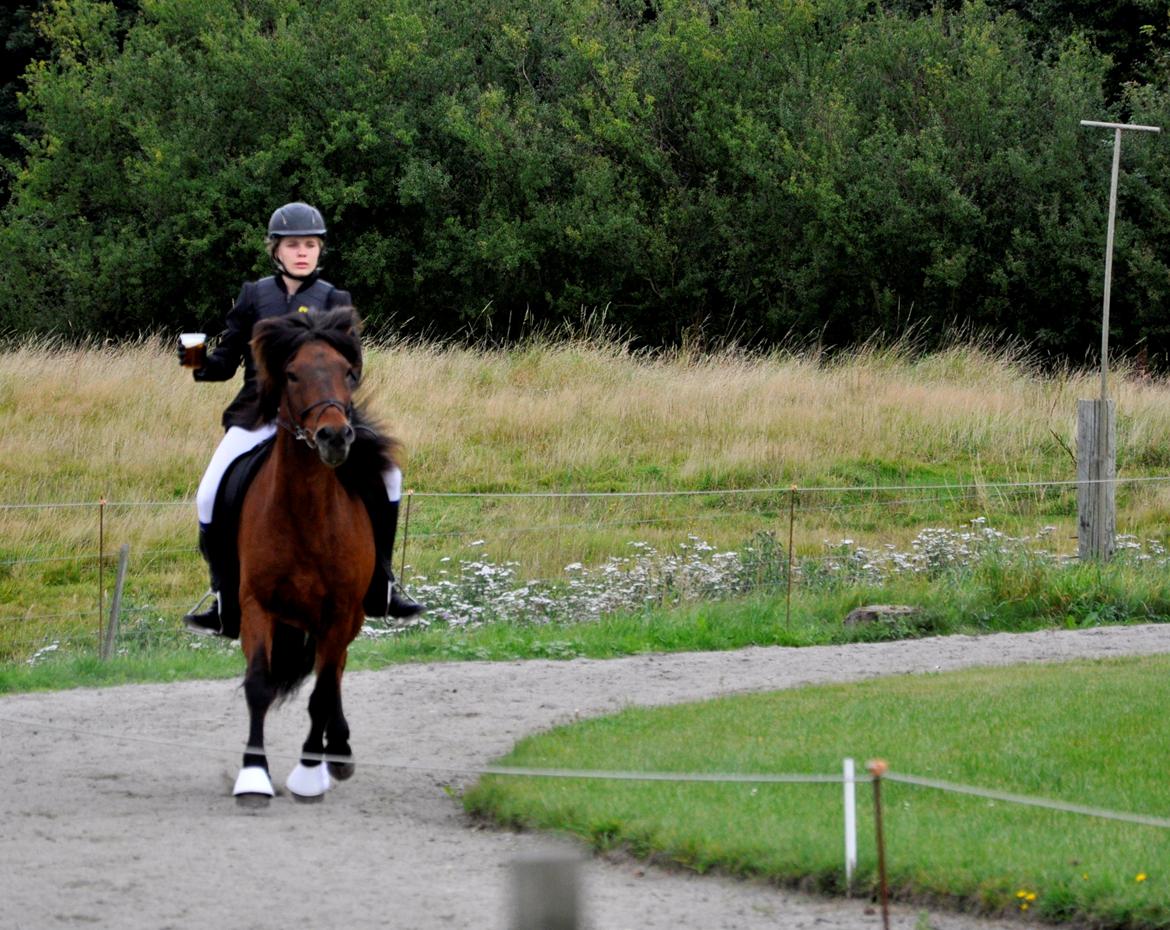 Islænder Óðinn fra lille Nørregård - You know you're in love when you can't fall asleep because reality is finally better than your dreams billede 10