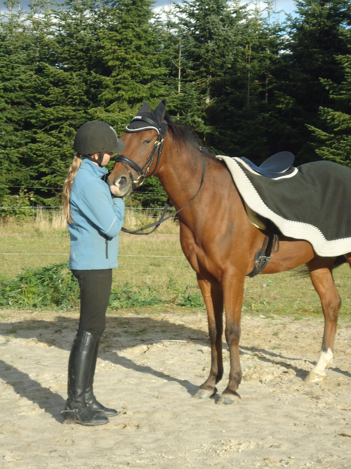 Tysk Sportspony Lienes - Min lille trold nyder efterårs solen(:  billede 17