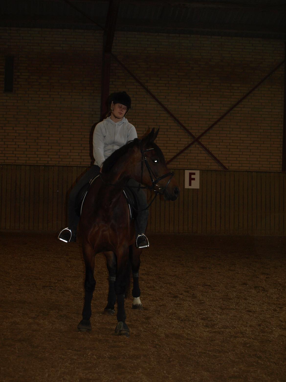 Anden særlig race TULLE-BELL billede 7