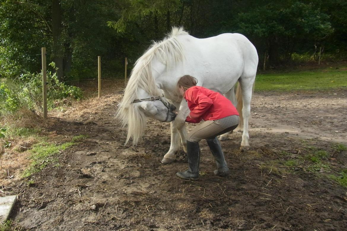 Anden særlig race Mikkel - Hygge på folden. billede 9