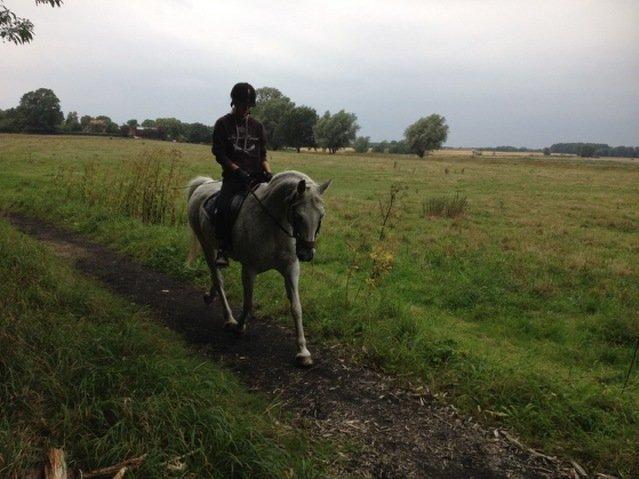 Anden særlig race Jasmin - Smukke.!:D billede 17