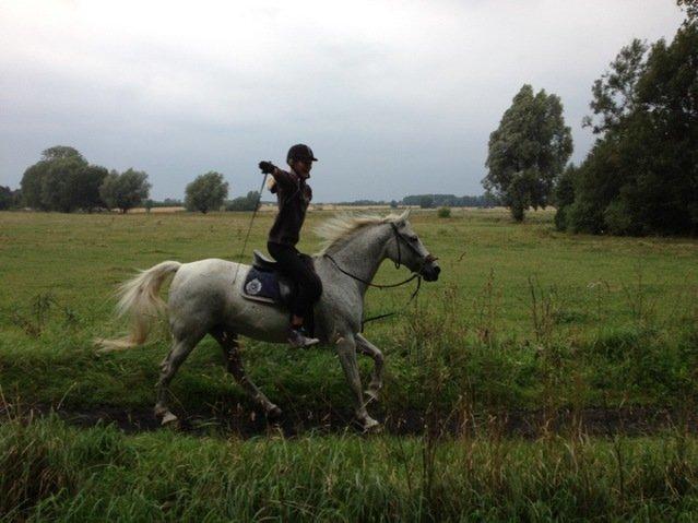 Anden særlig race Jasmin - Løb og vær fri.! :D <33
 billede 7