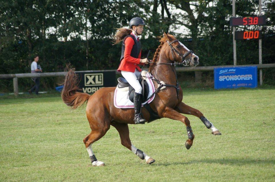 DSP Lundehøjgaards Quiet Step A-pony - Steppe og jeg i finalen til Danmarks-Cup landsstævne 2012 MB2** 0 fejl og 4 plads (-: billede 7