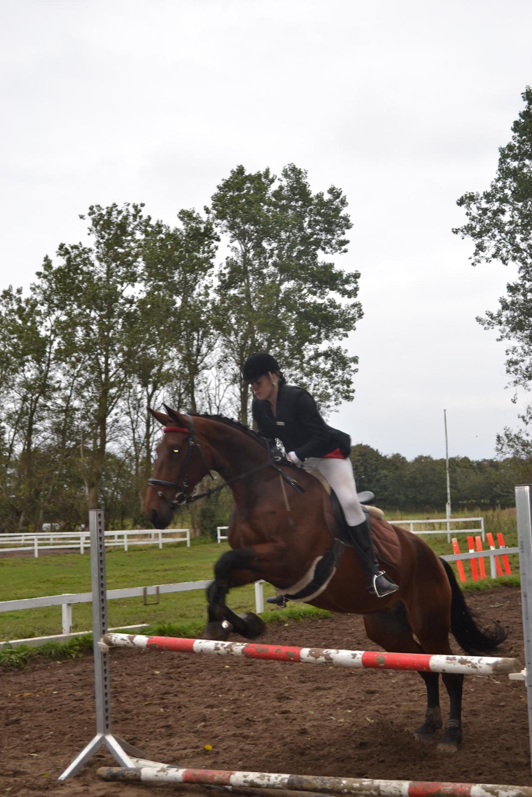 Oldenborg Calina Af Vestergaard billede 19