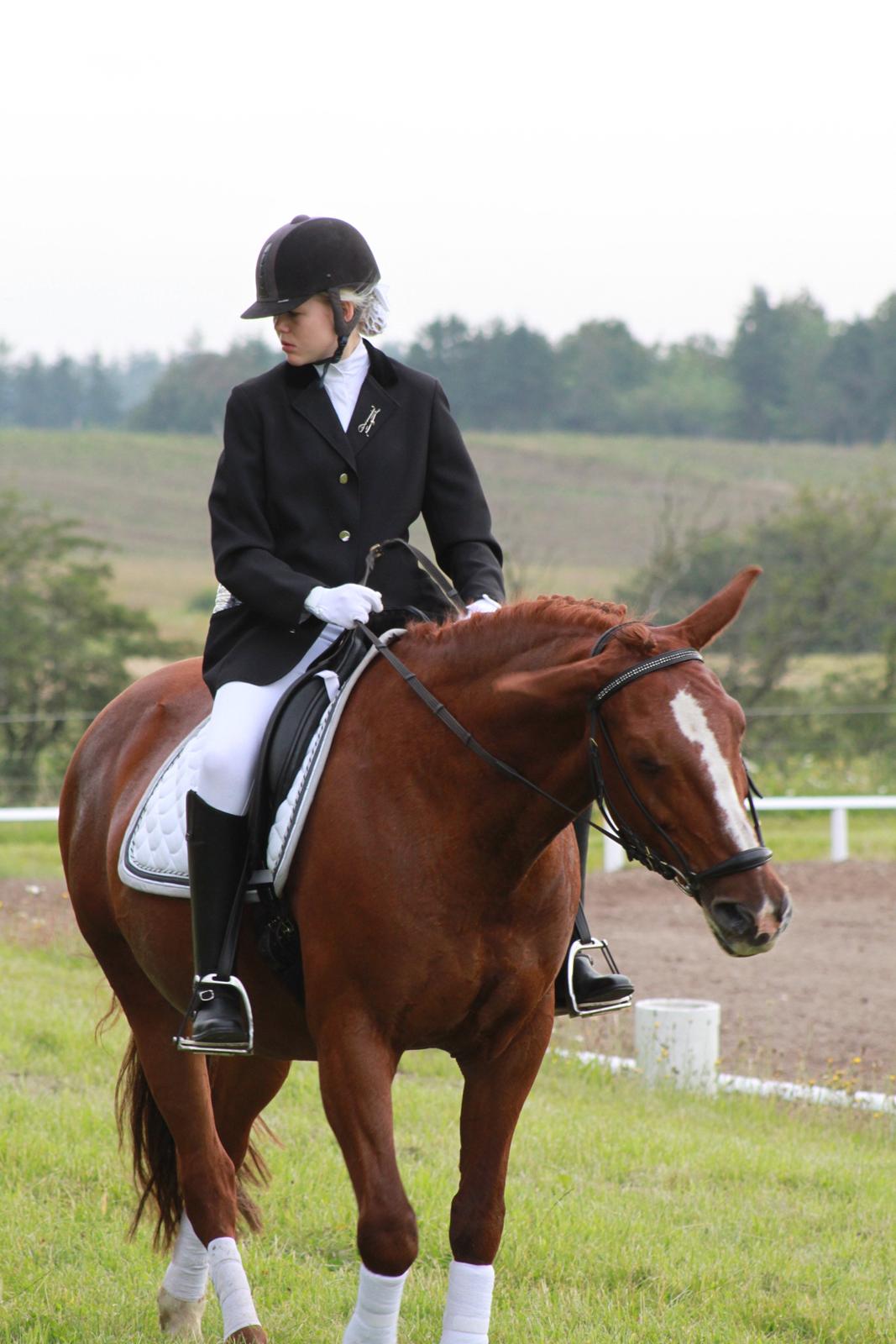 Anden særlig race Sunrise *Sunnie* -  Vores 2 stævne en LC1.. billede 9