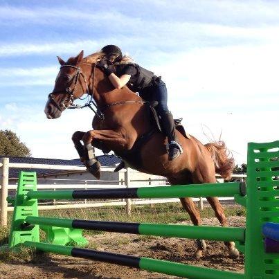 DSP Apollo (Polle fisen) <3 - Fly on the wings of LOVE! Velkommen til Polles profil <3 billede 4