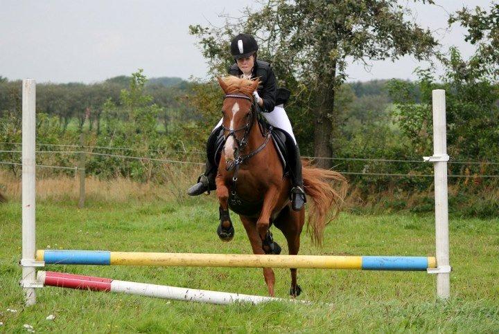 DSP Apollo (Polle fisen) <3 - Stævne i Bramming! <3 billede 5