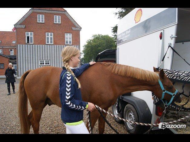 DSP Apollo (Polle fisen) <3 - Ladelund! <3 billede 17