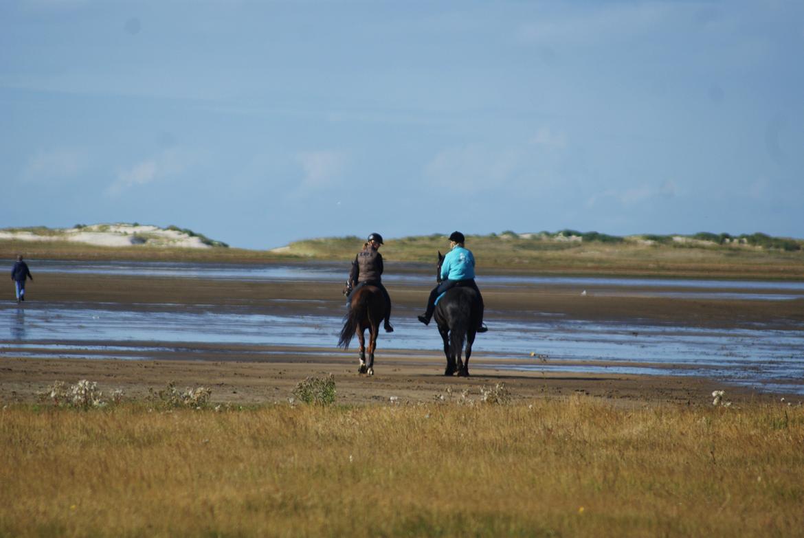 Frieser Vrouwke van Nykro billede 19