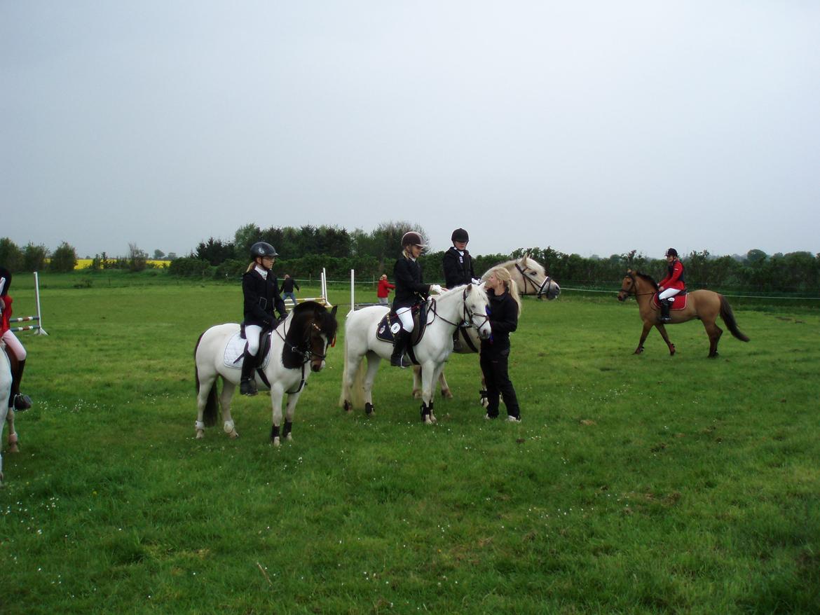 Anden særlig race Truska billede 13