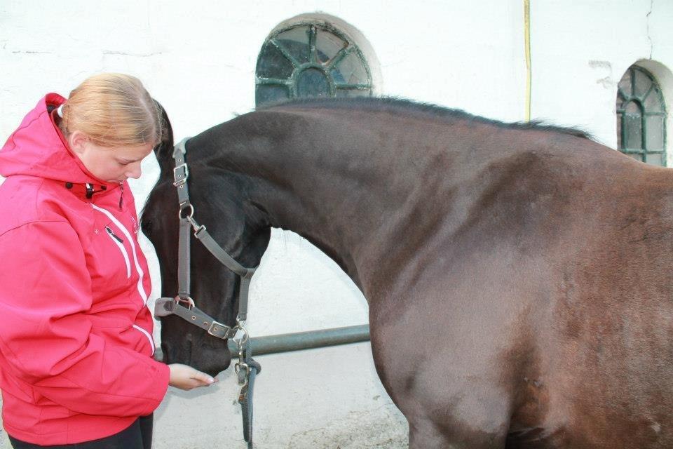 Anden særlig race Pandora billede 2