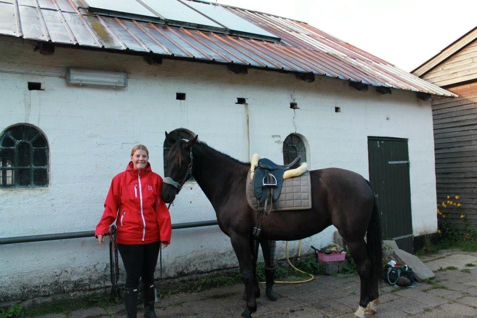Anden særlig race Pandora billede 7