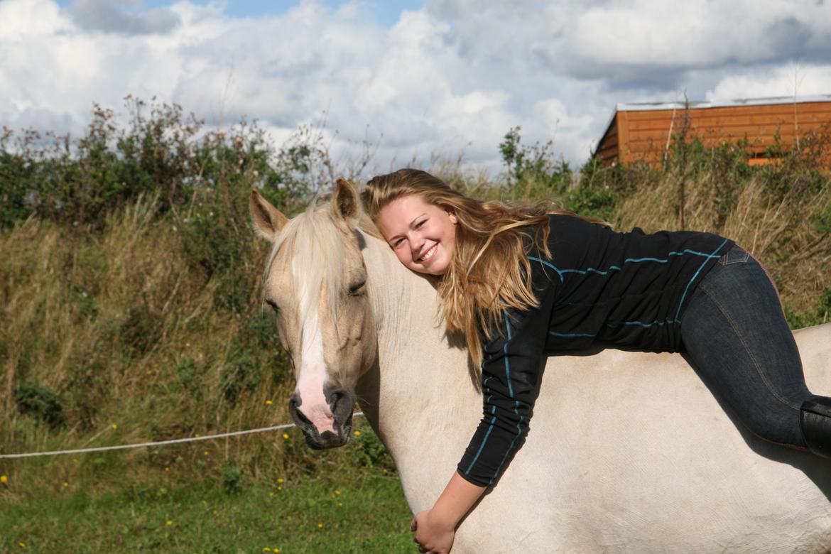 Palomino - Silver (B-PONY) [Tidl. hest] - 2) billede 2