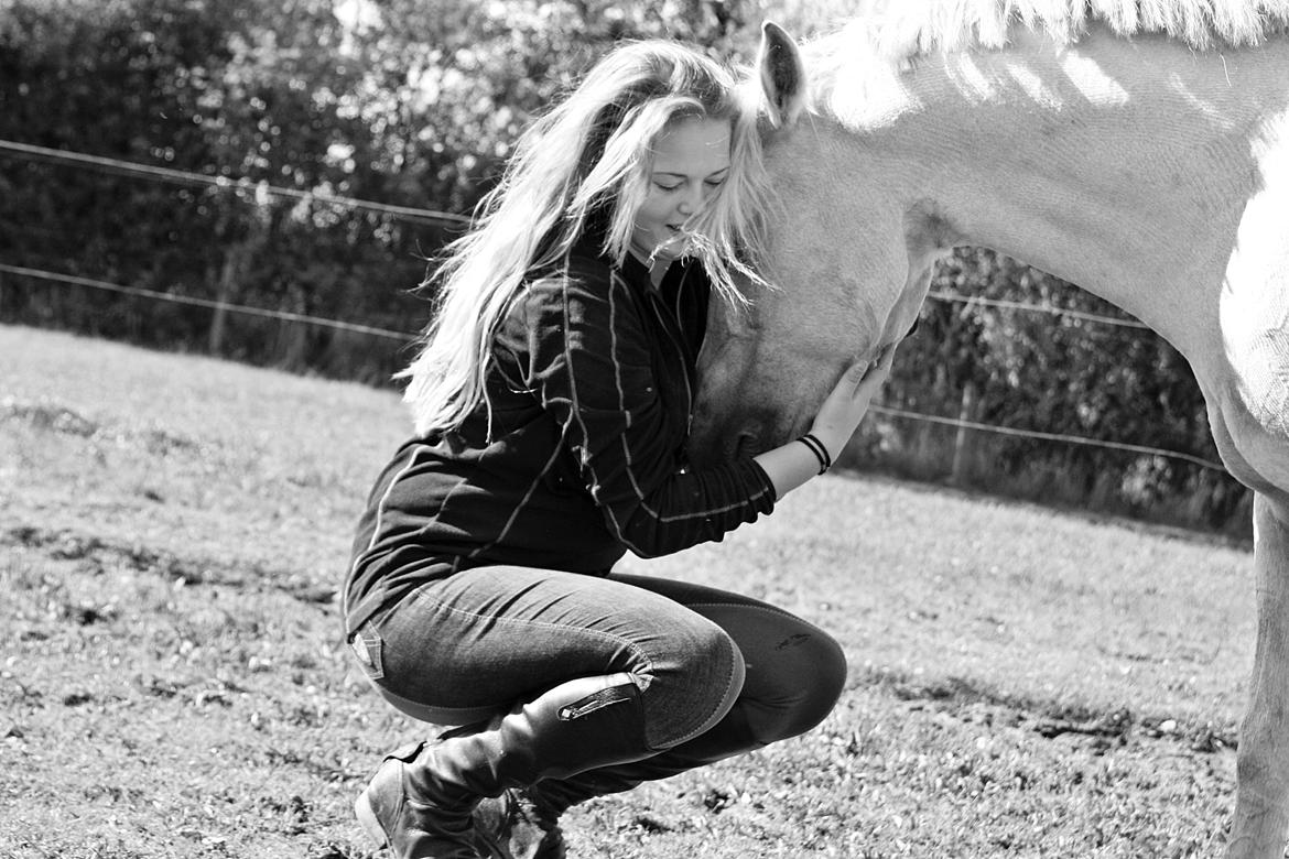 Palomino - Silver (B-PONY) [Tidl. hest] - 6) billede 6
