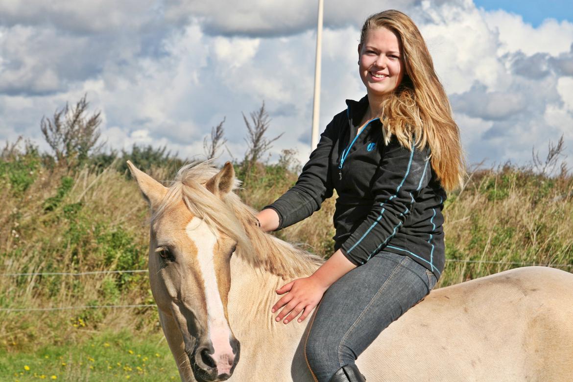 Palomino - Silver (B-PONY) [Tidl. hest] - 17) billede 17