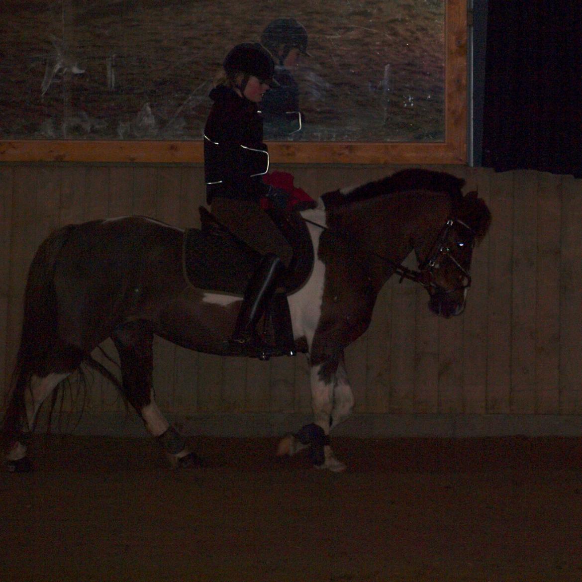 Anden særlig race Sally billede 12