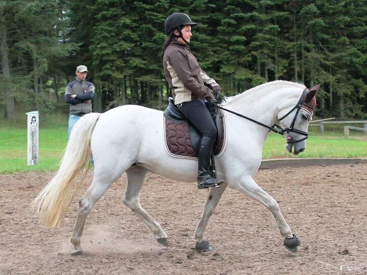 Connemara Lilleskov´s Juvel - Undervisning August 2012 <3 billede 8