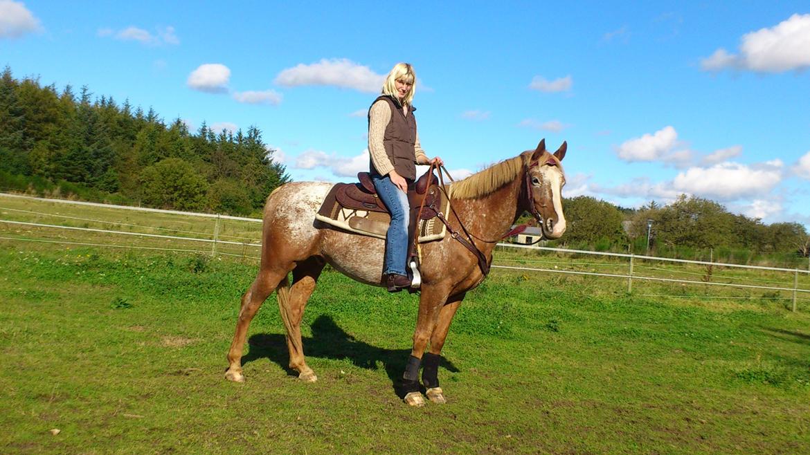 Appaloosa Mister Sebrano - D. 23-9-12 Første gang på ryggen af Sebrano siden han flyttede ind billede 13