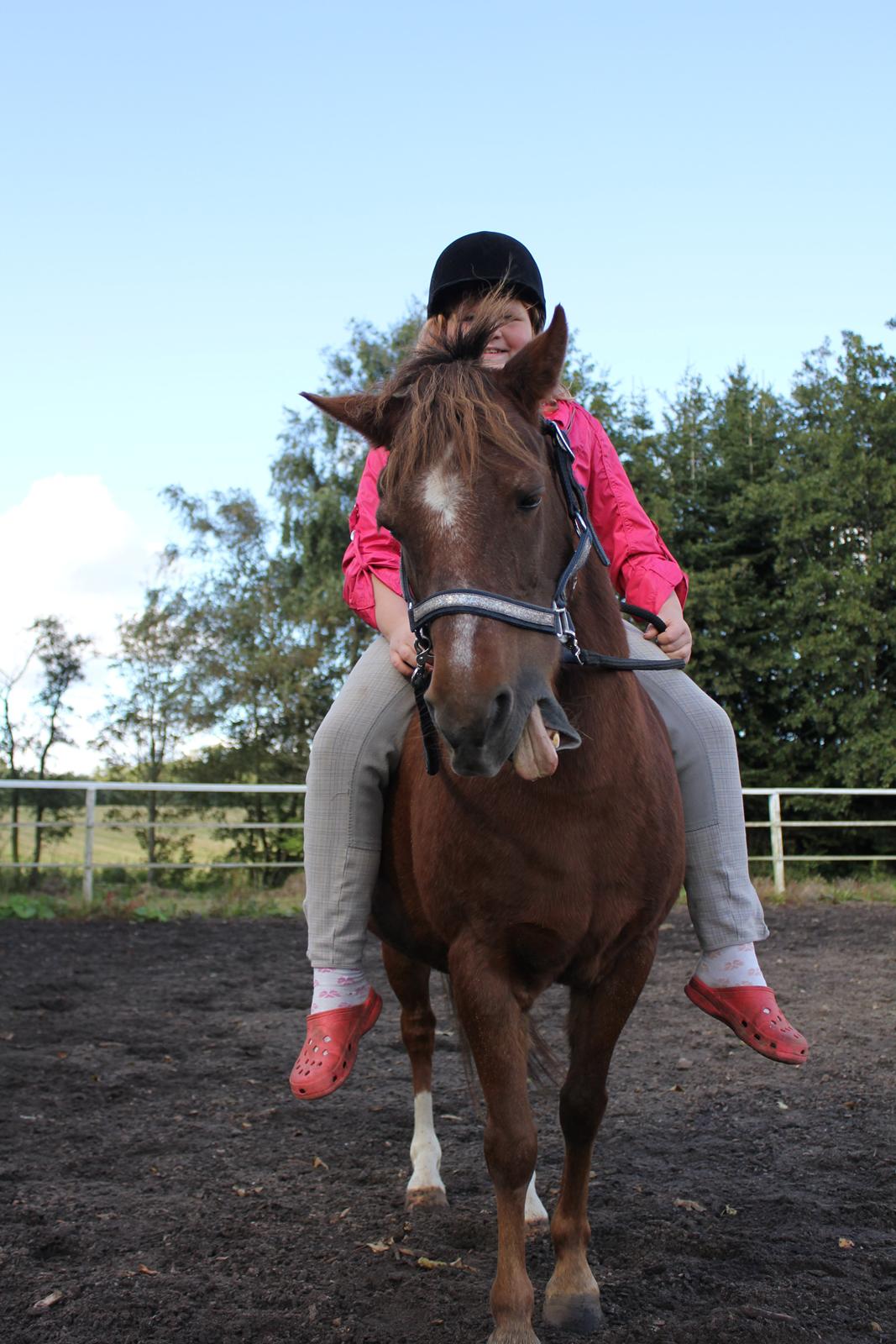 Anden særlig race bella - hygge d 23/9-12 billede 5