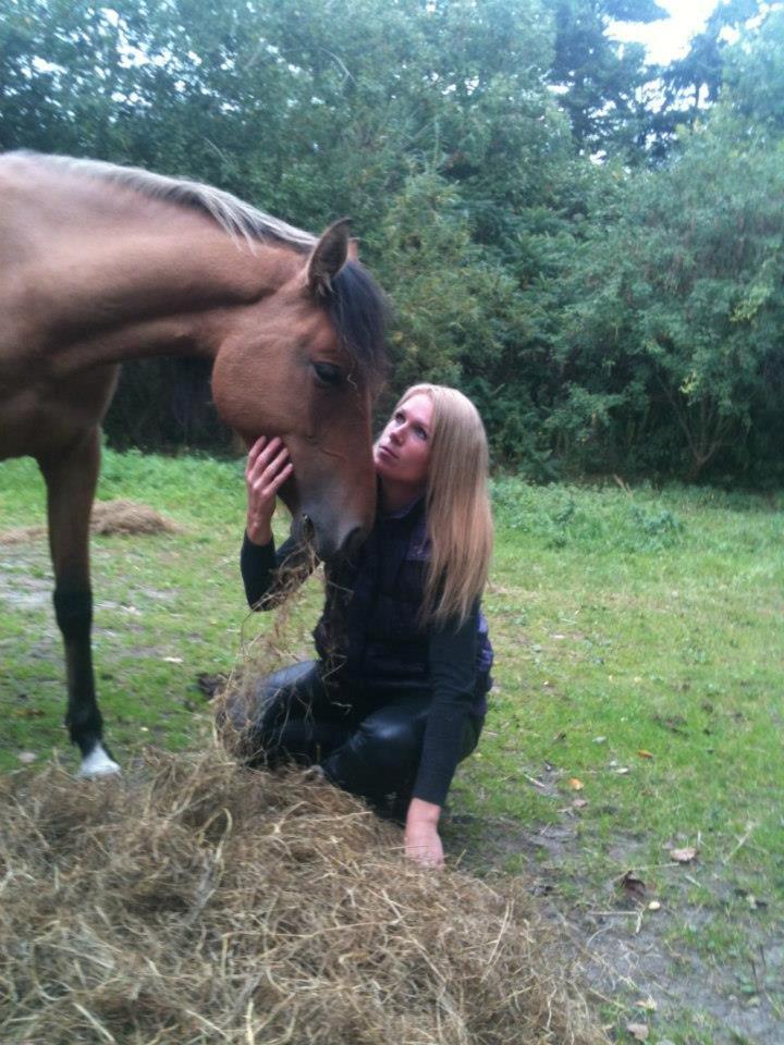 Anden særlig race Unica star billede 17