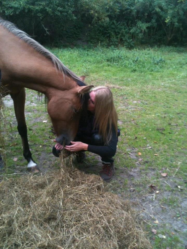 Anden særlig race Unica star billede 23