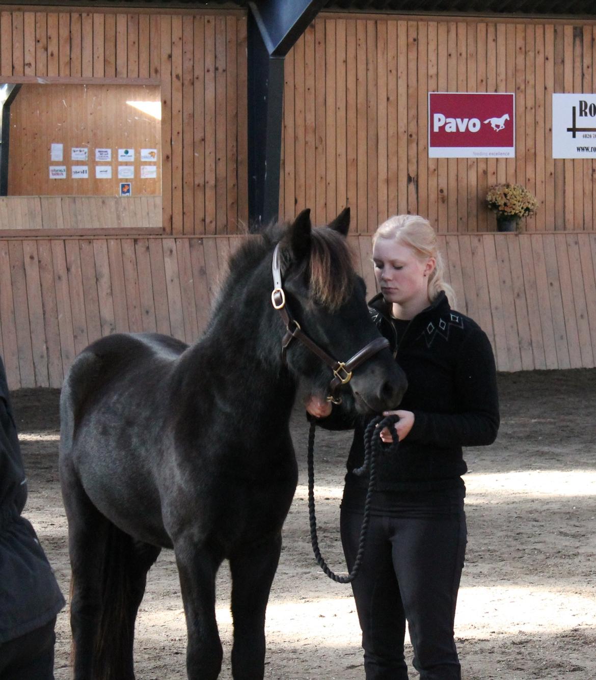 Islænder Ávaldi fra Ny Amtoftgaard billede 10